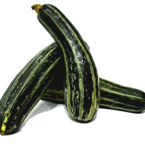 Calabacin Verde x Lb