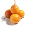Granadilla x Lb