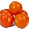Tomate Chonto x Lb