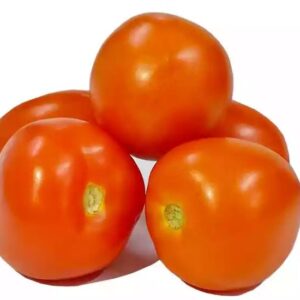 Tomate Chonto x Lb
